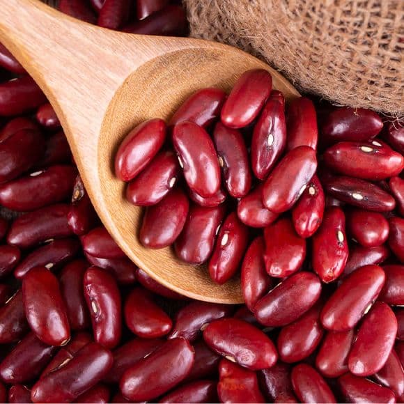 Kidney Beans (Rajma)