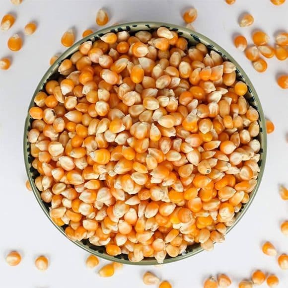 Maize Millets (Makai)
