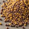 Mustard Seeds